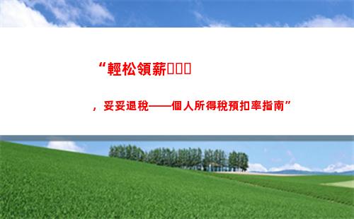 “輕松實現財富管理——個人所得稅公司案例分享”